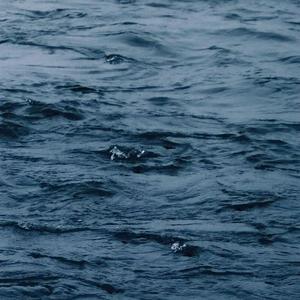 日本人真人性交做爱
